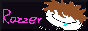 Razzer